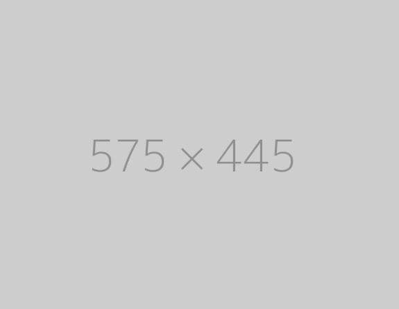 hongo 575x445-ph